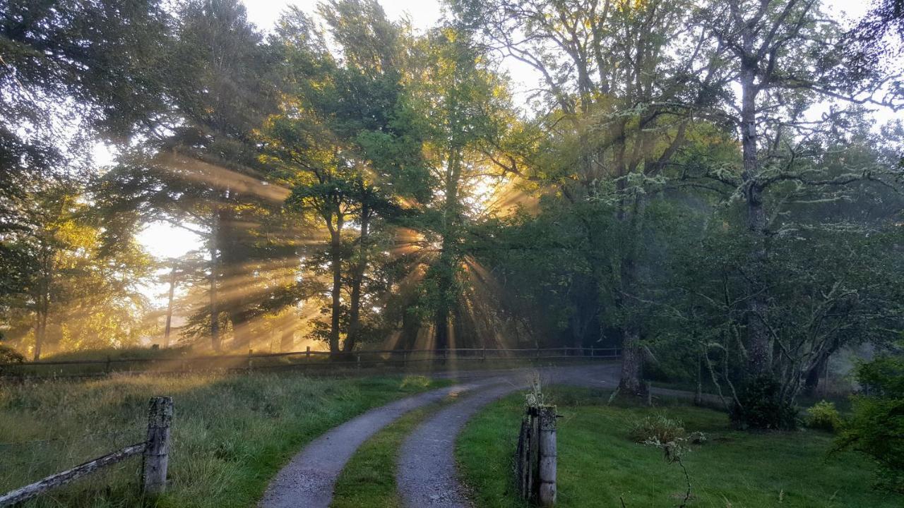 Glentruim Homestay B&B And Glamping Pods Newtonmore Bagian luar foto