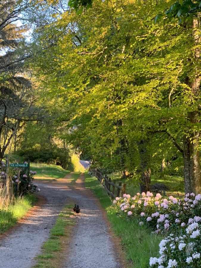 Glentruim Homestay B&B And Glamping Pods Newtonmore Bagian luar foto